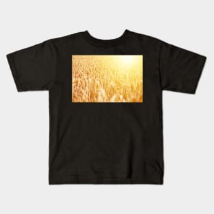 Field of ripe wheat against golden sunrise Kids T-Shirt